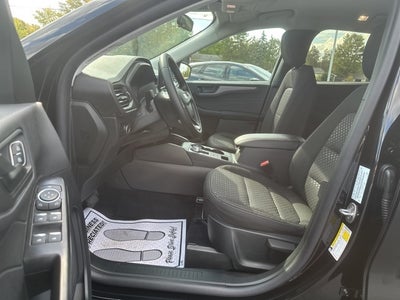 2026 Ford Escape Active®