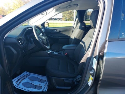 2026 Ford Escape Active®