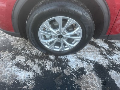 2026 Ford Escape Active®