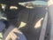 2022 Ford Mustang Mach 1