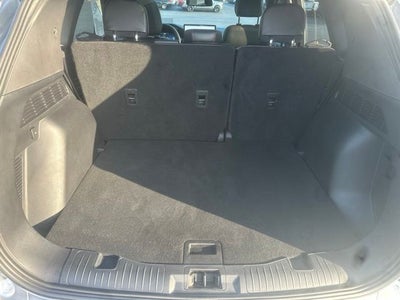 2024 Ford Escape ST-Line Elite