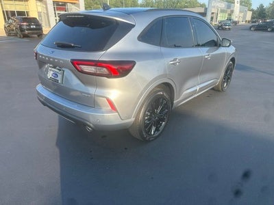 2024 Ford Escape ST-Line Elite